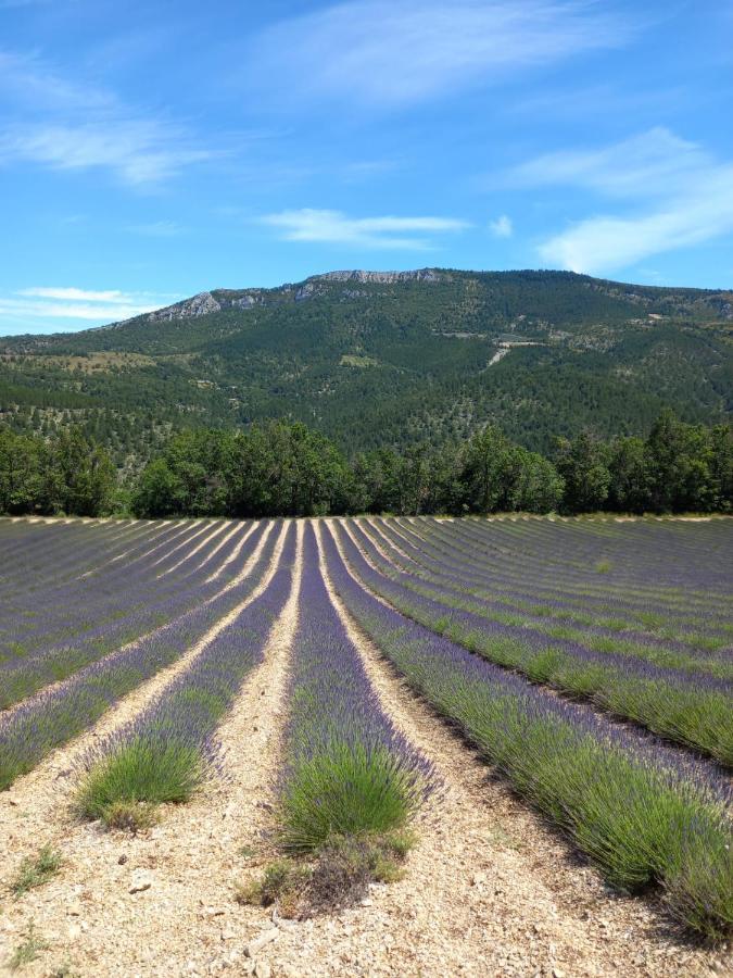 La Plume Du Ventoux Suite 305 Mollans-sur-Ouvèze Dış mekan fotoğraf
