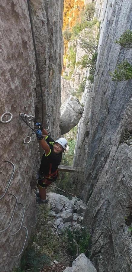La Plume Du Ventoux Suite 305 Mollans-sur-Ouvèze Dış mekan fotoğraf